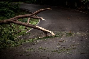 Why Drivers Need to Be Extremely Careful Around Storm Debris